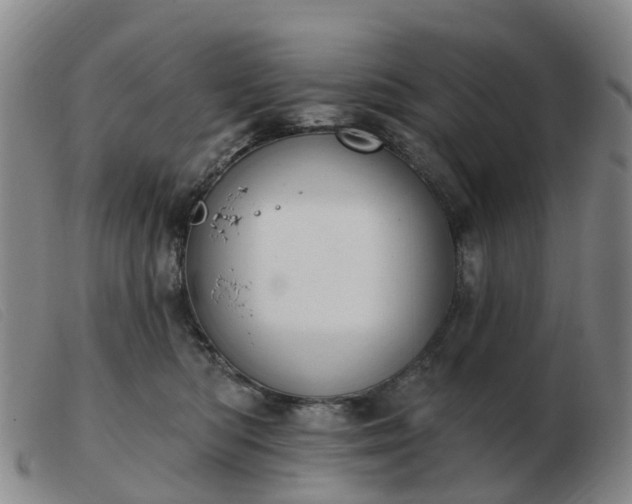 X0000103440422200809191729