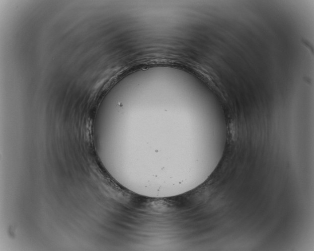 X0000103440423200809191729