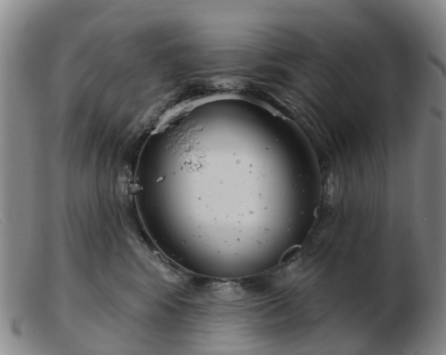 X0000103440424200809191729