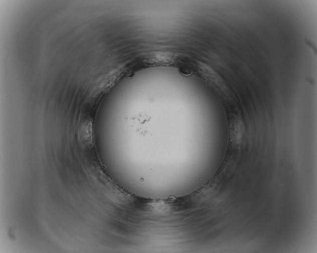X0000103440425200809191729