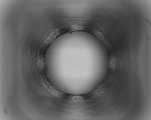 X0000103440426200809191729