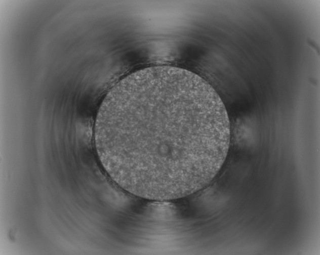 X0000103440427200809191729
