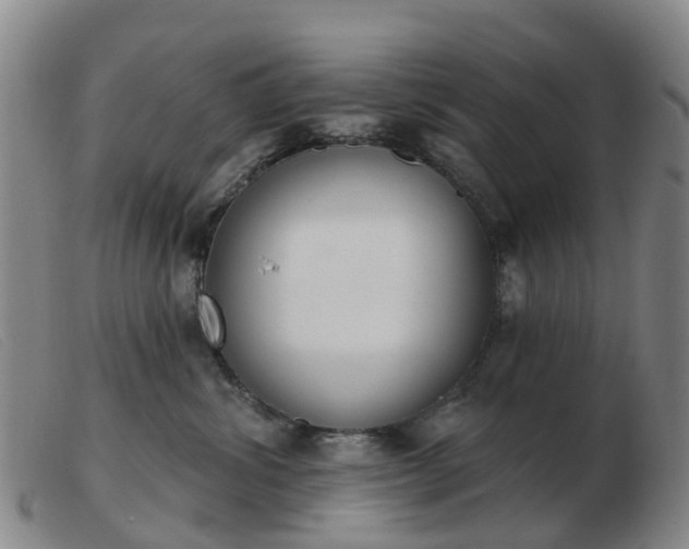 X0000103440428200809191729
