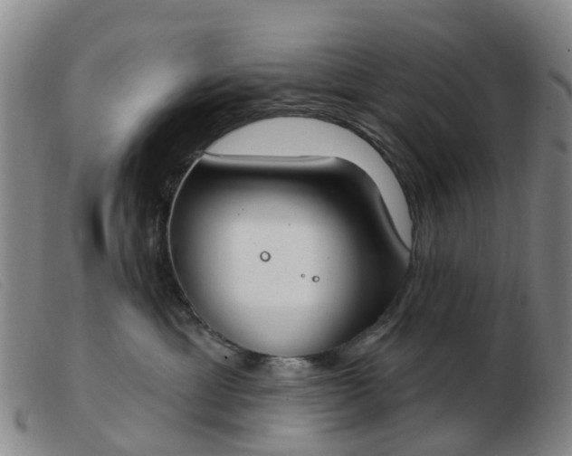 X0000103440429200809191729