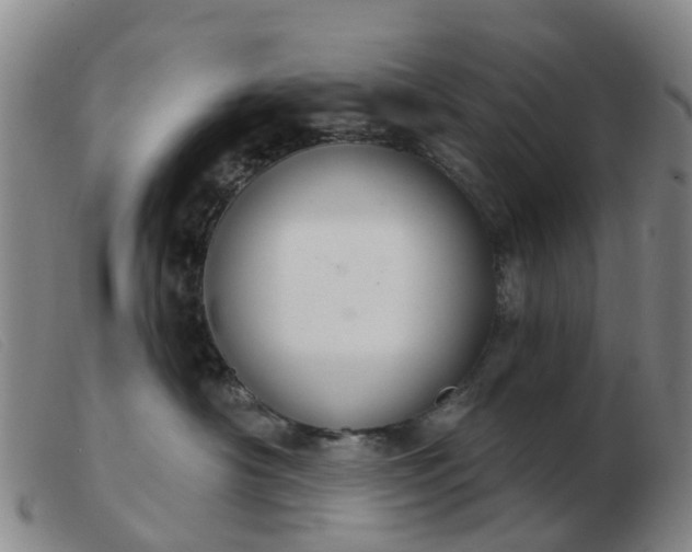 X0000103440430200809191729