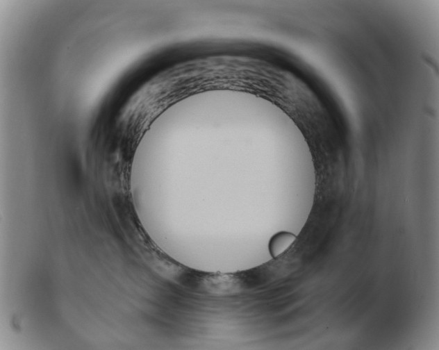 X0000103440431200809191729