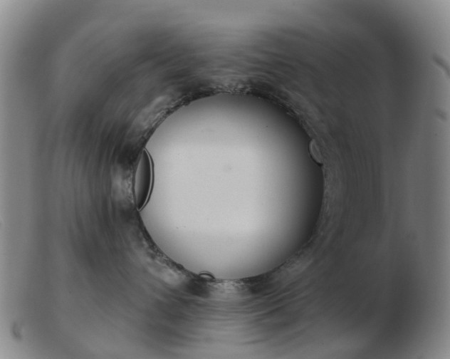 X0000103440432200809191729