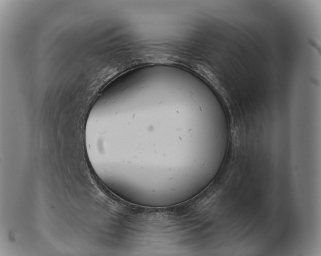 X0000103440433200809191728