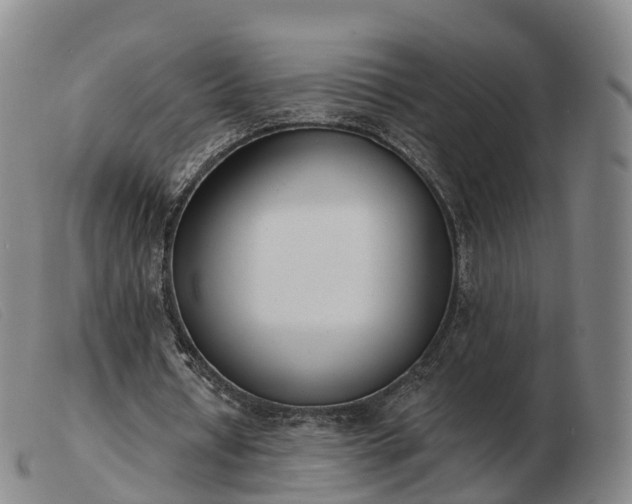 X0000103440434200809191728