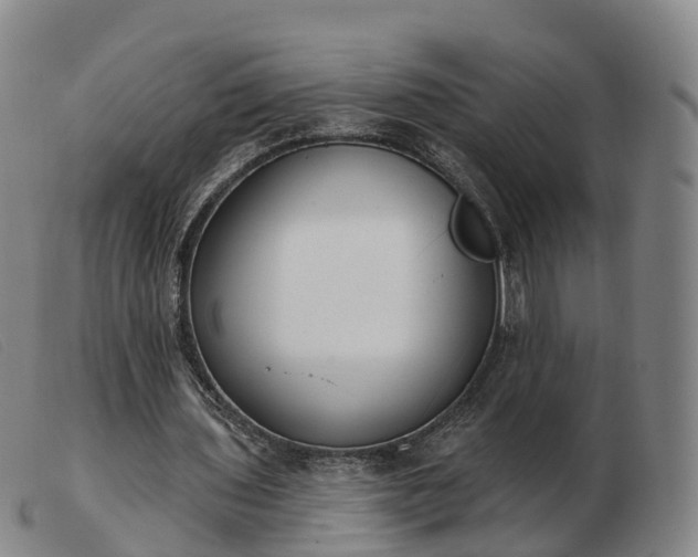 X0000103440435200809191728