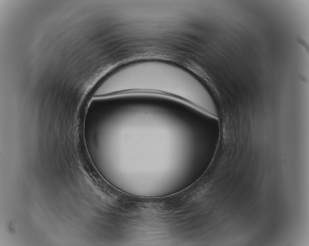 X0000103440436200809191728