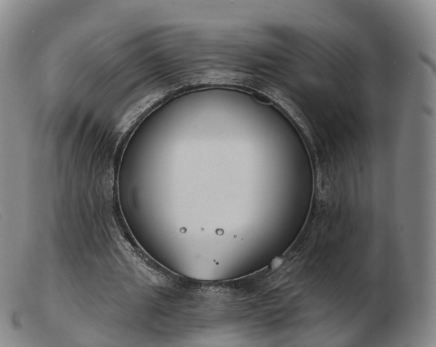 X0000103440437200809191728