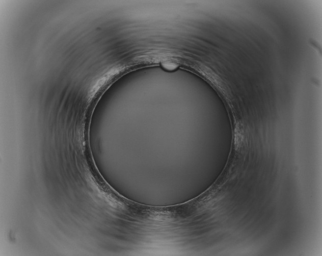 X0000103440438200809191728