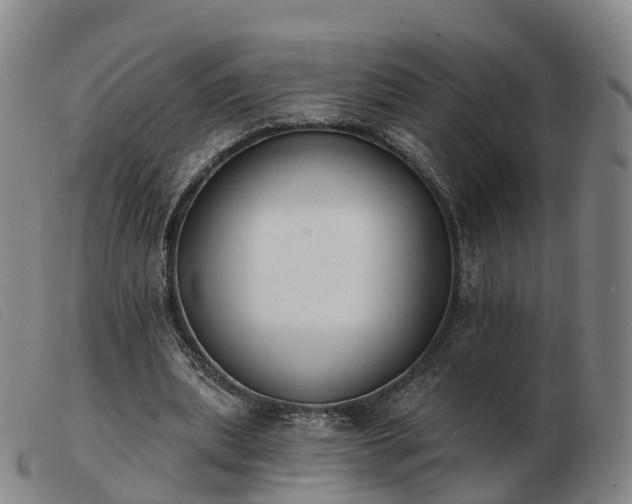 X0000103440439200809191728