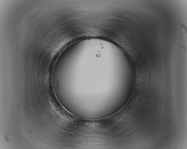 X0000103440440200809191728