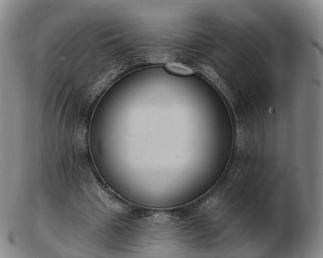 X0000103440441200809191728
