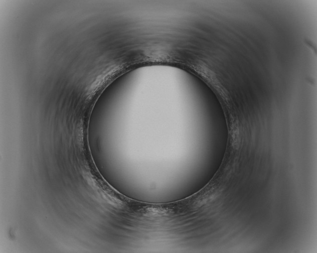 X0000103440442200809191728