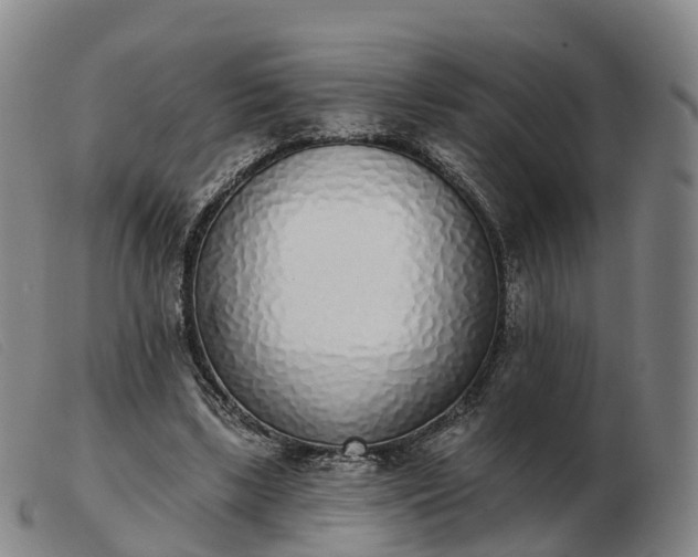X0000103440443200809191728