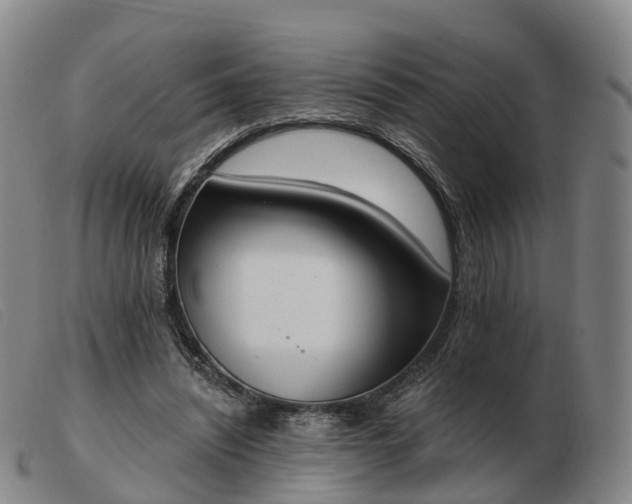 X0000103440444200809191728