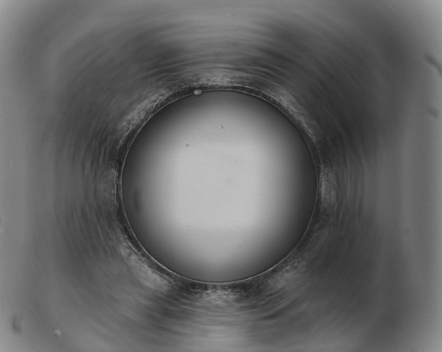 X0000103440445200809191728