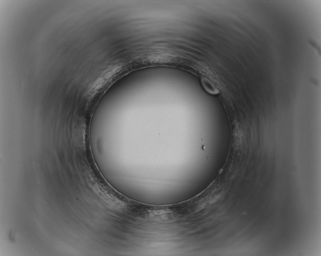 X0000103440446200809191728