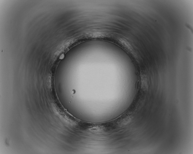 X0000103440447200809191728
