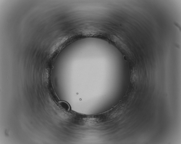 X0000103440448200809191728