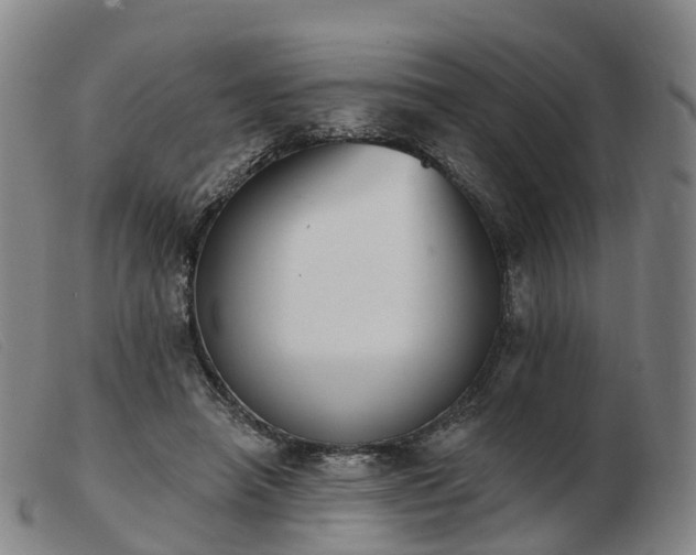 X0000103440450200809191728