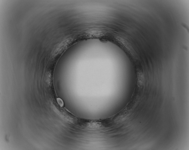 X0000103440451200809191728