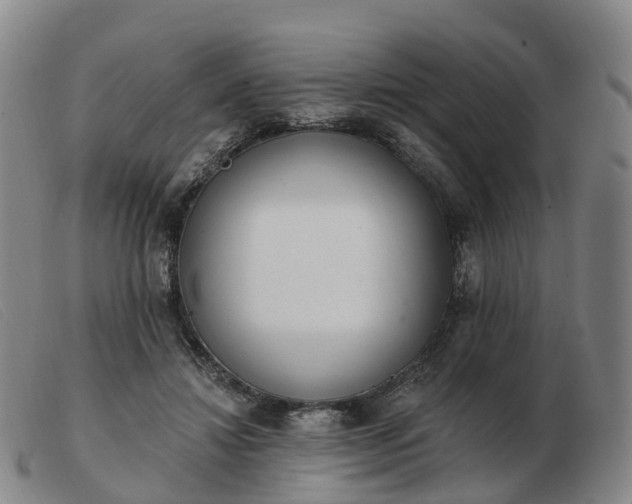X0000103440452200809191728