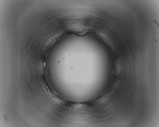 X0000103440453200809191728
