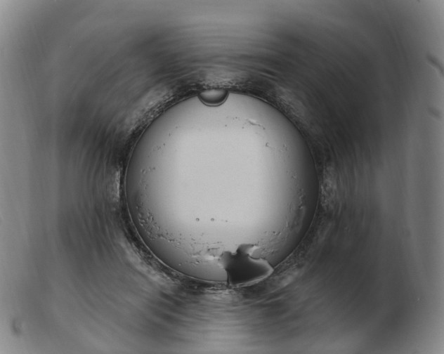 X0000103440454200809191728