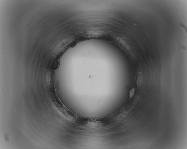 X0000103440455200809191728