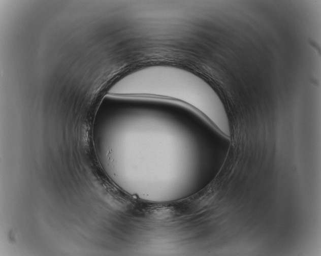 X0000103440456200809191728