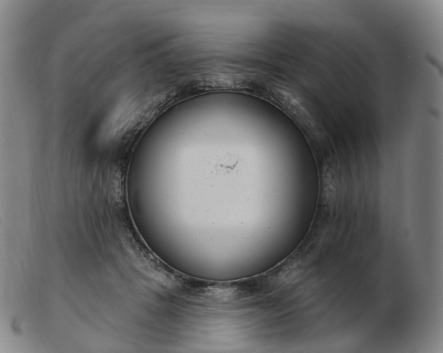 X0000103440457200809191729