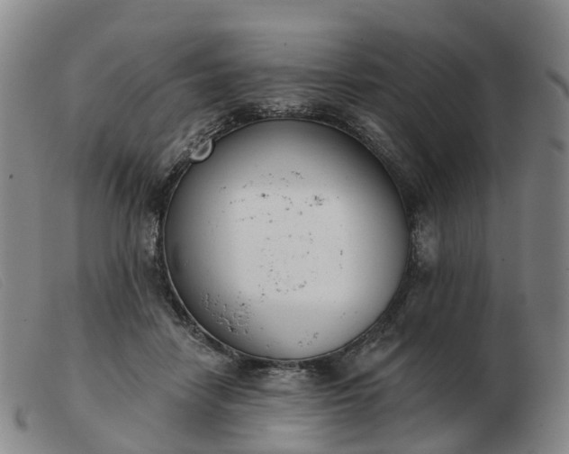 X0000103440458200809191729