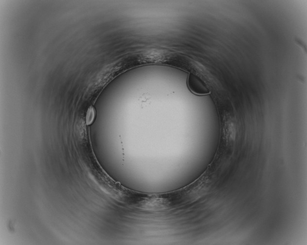 X0000103440459200809191729