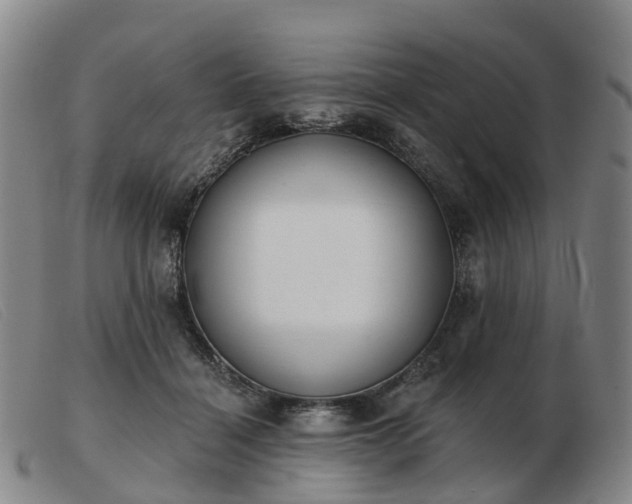 X0000103440460200809191729