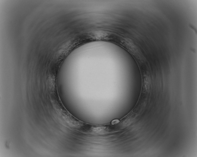 X0000103440461200809191729
