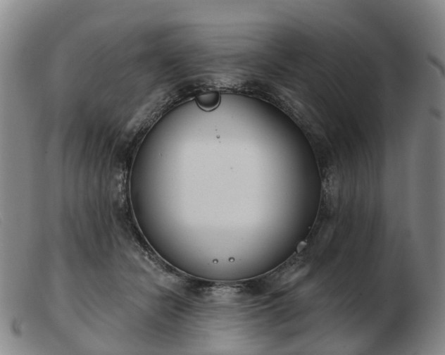 X0000103440462200809191729