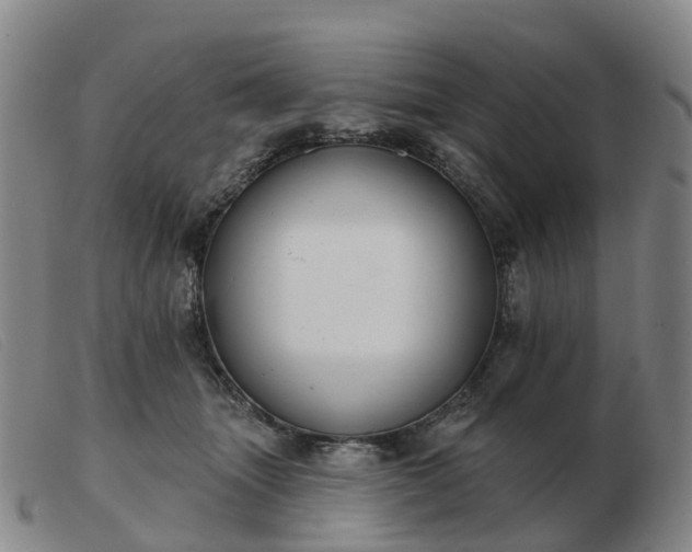 X0000103440463200809191729