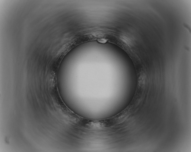 X0000103440464200809191729
