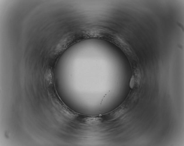X0000103440465200809191729