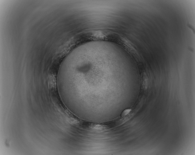 X0000103440467200809191729
