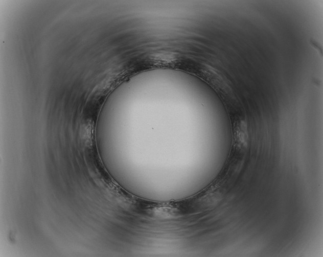 X0000103440468200809191729