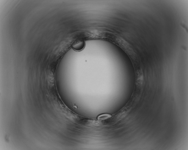 X0000103440469200809191729