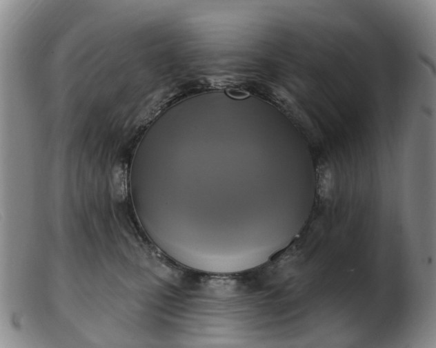 X0000103440471200809191729
