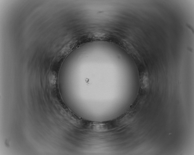 X0000103440472200809191729