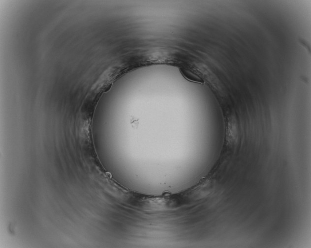 X0000103440473200809191729