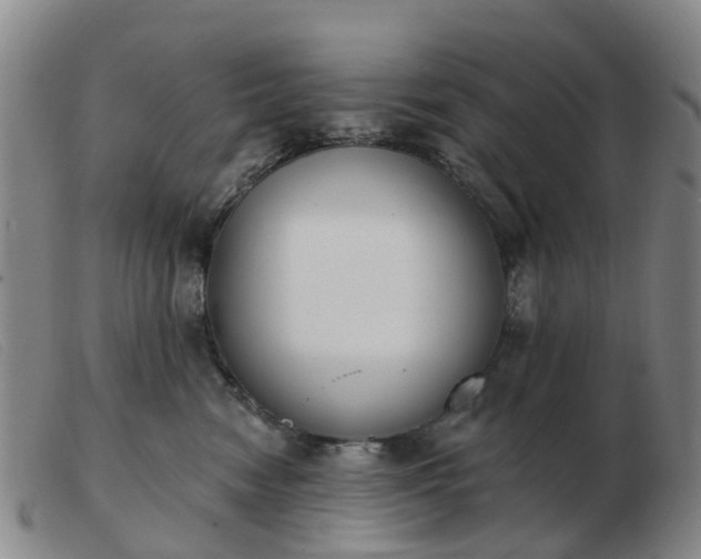 X0000103440474200809191729